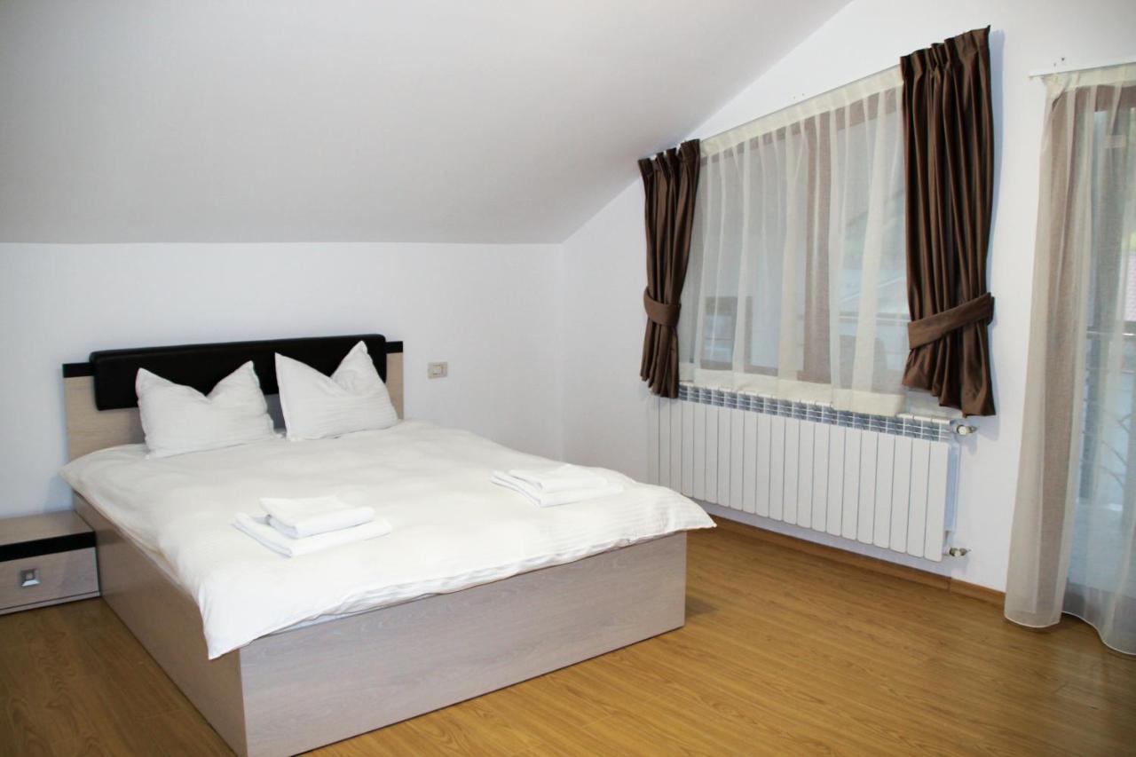 Hotel Corina Borşa 외부 사진